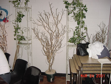 DSC00213